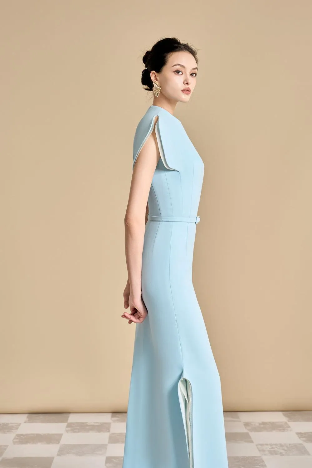 Aster Sheath Cap Sleeved Polyester Ankle Length Dress