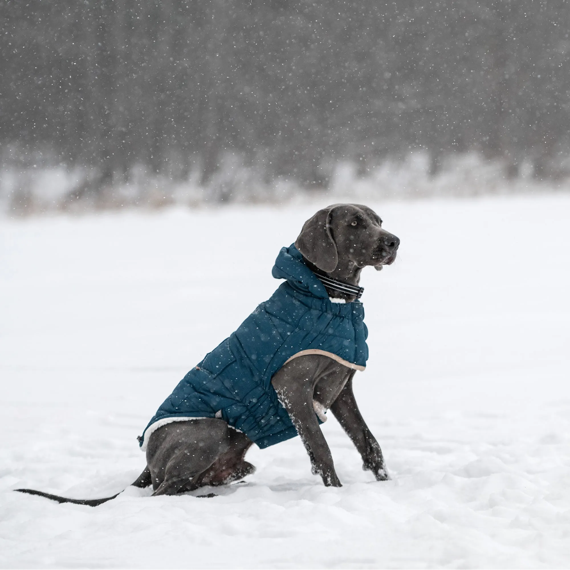 Nordic Parka Dog Winter Coat