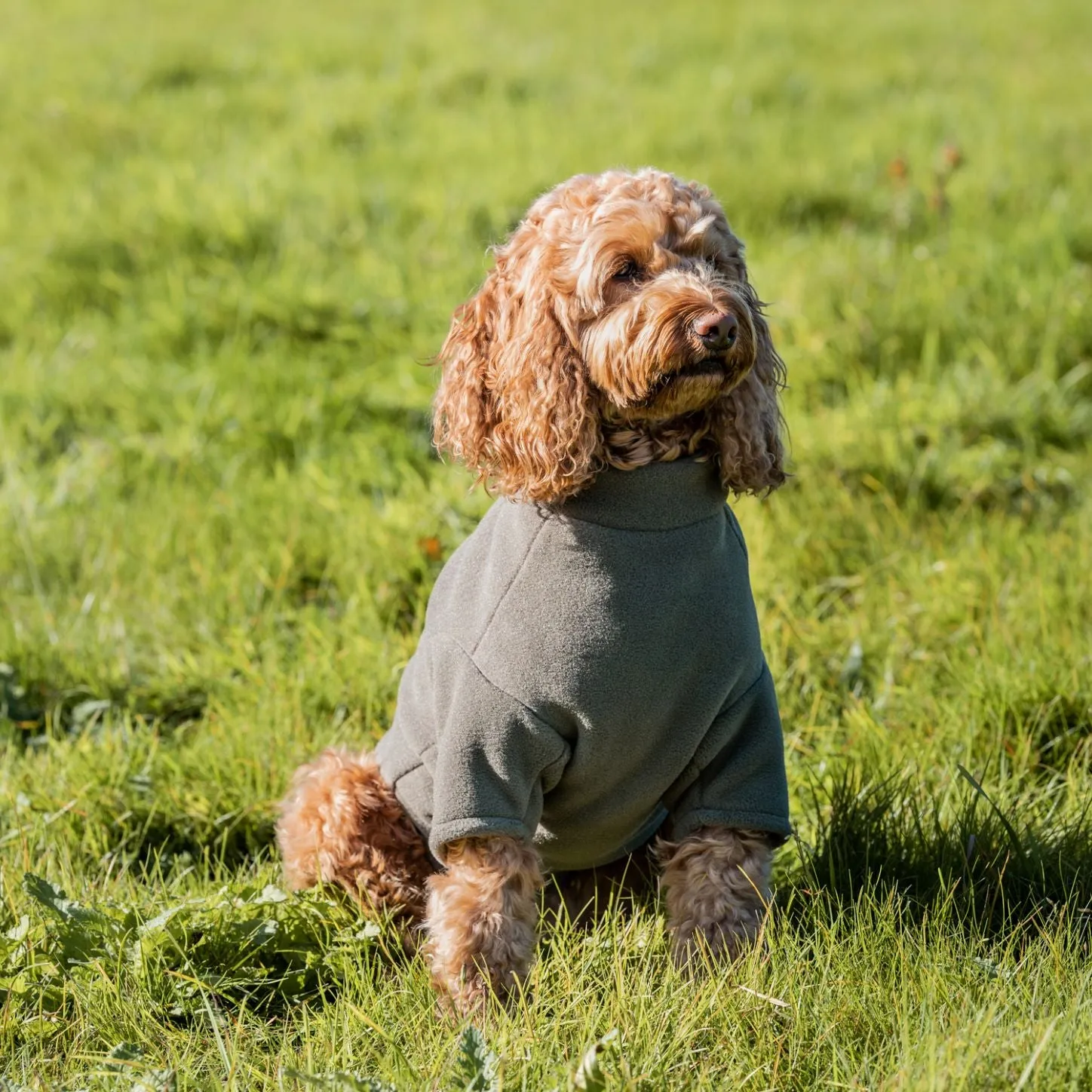 Stix Waterproof Fleece Coats for Cockapoos 4 Legged